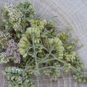Infusion Achillée Millefeuille Bio