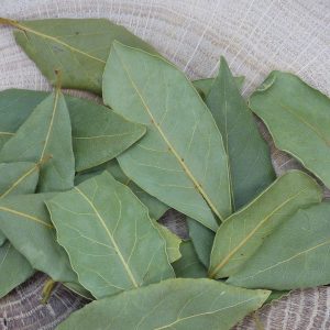 Infusion Laurier bio