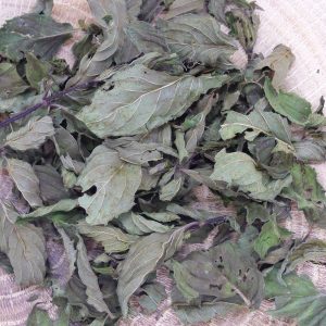 Infusion Menthe Poivrée Bio