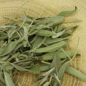 Infusion Sauge Bio