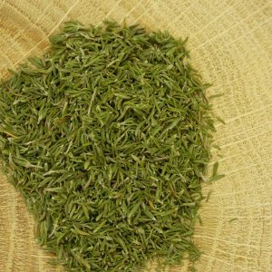 Infusion Thym Bio