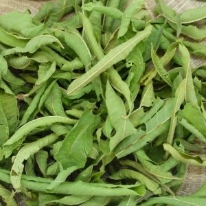 Infusions simples Bio
