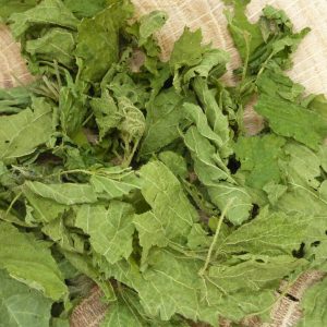 Infusion Ortie Bio